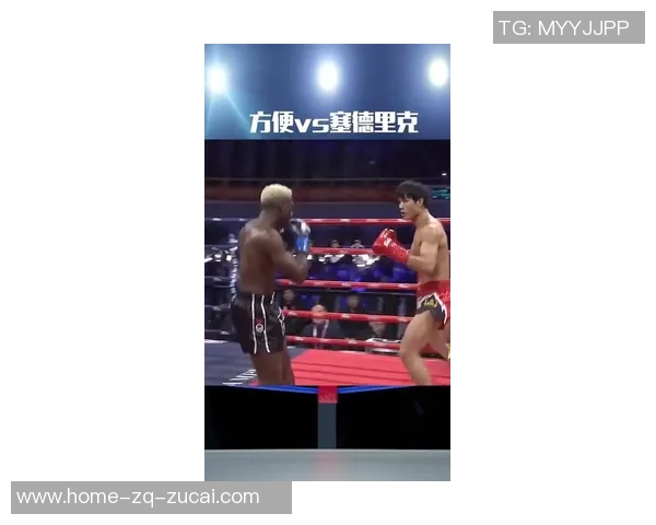 方便与杜姆贝的较量：谁能在现代生活中更胜一筹